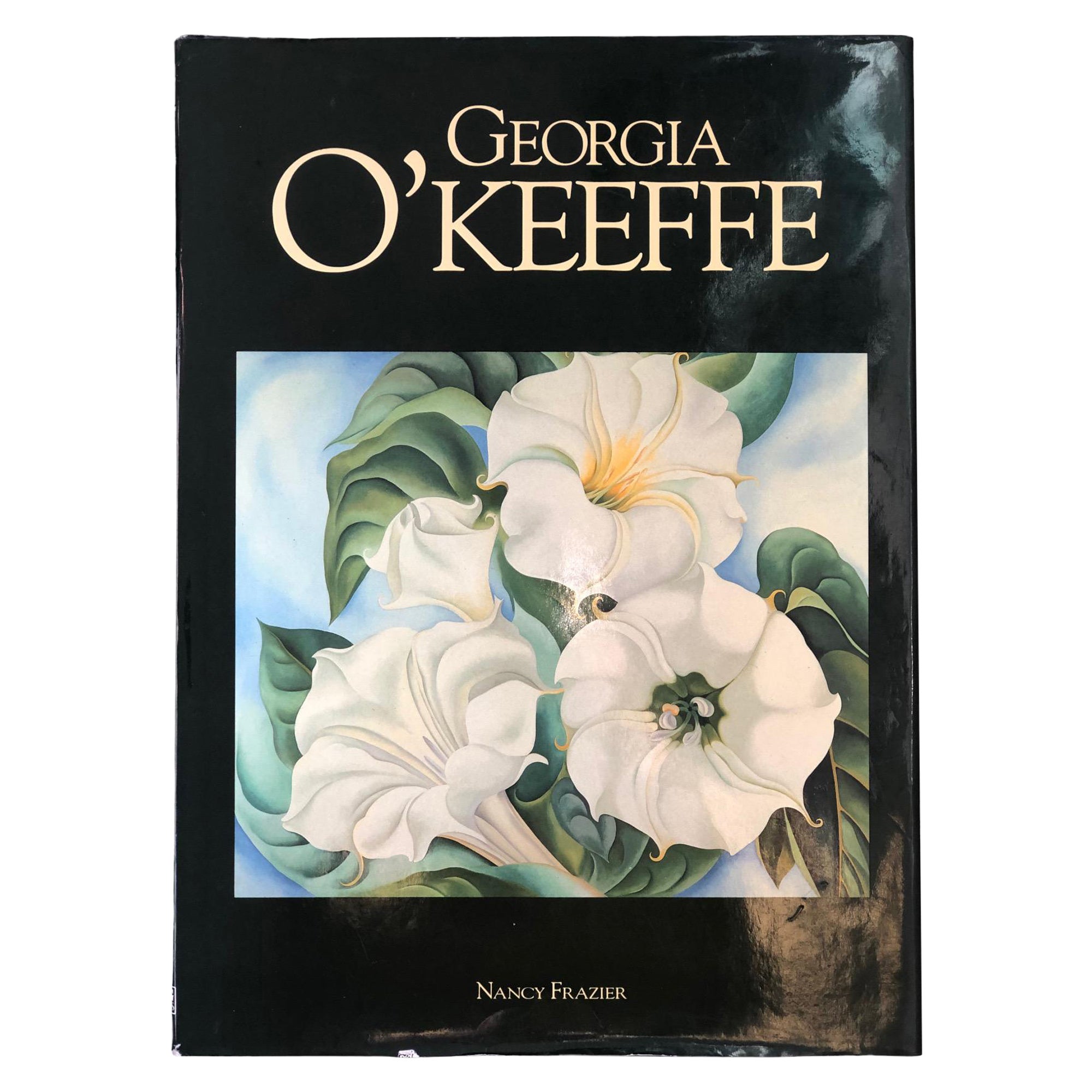 Georgia O'Keeffe by Nancy Frazier For Sale