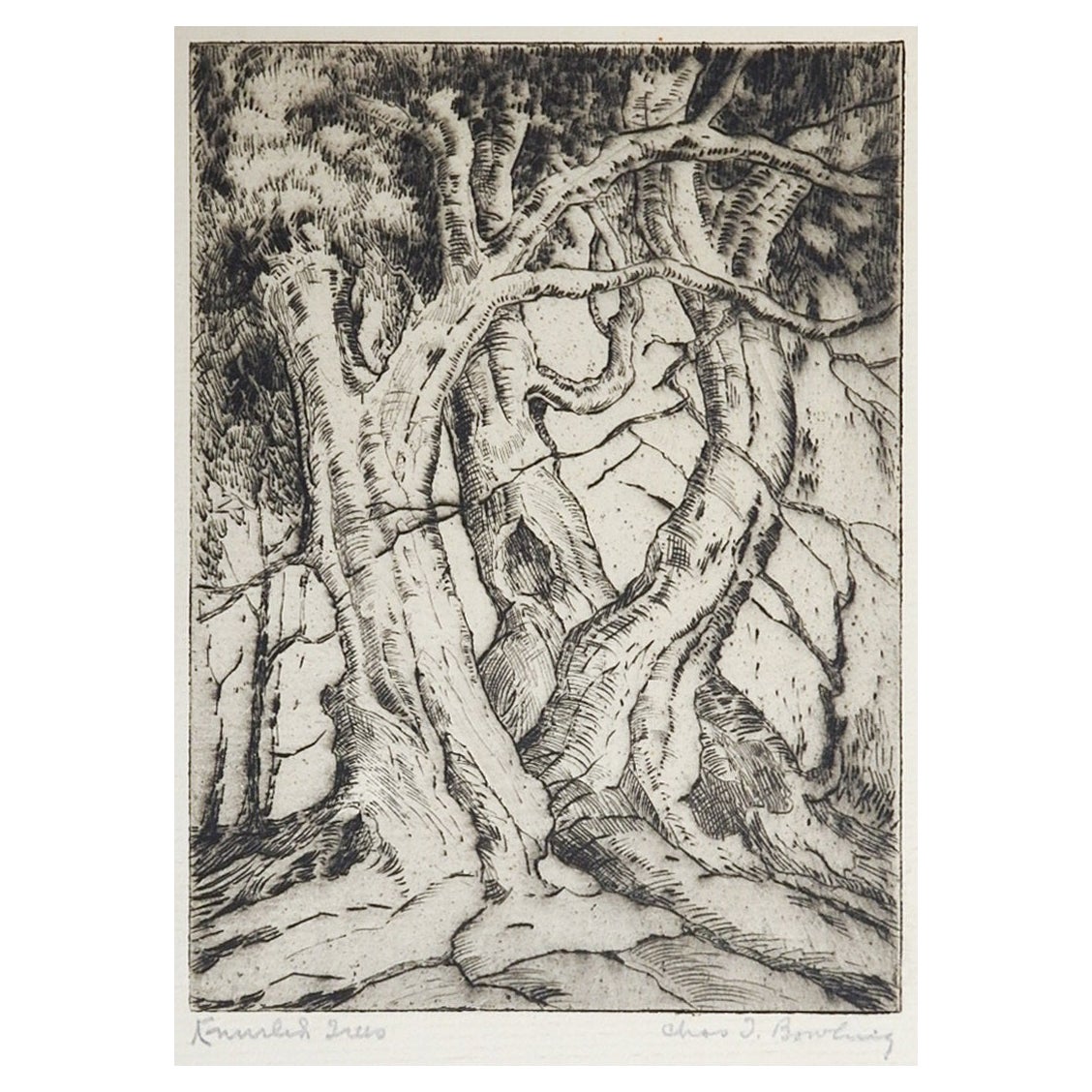 Vintage 1930s Charles Bowling Knurled Trees Dry Point Etching For Sale