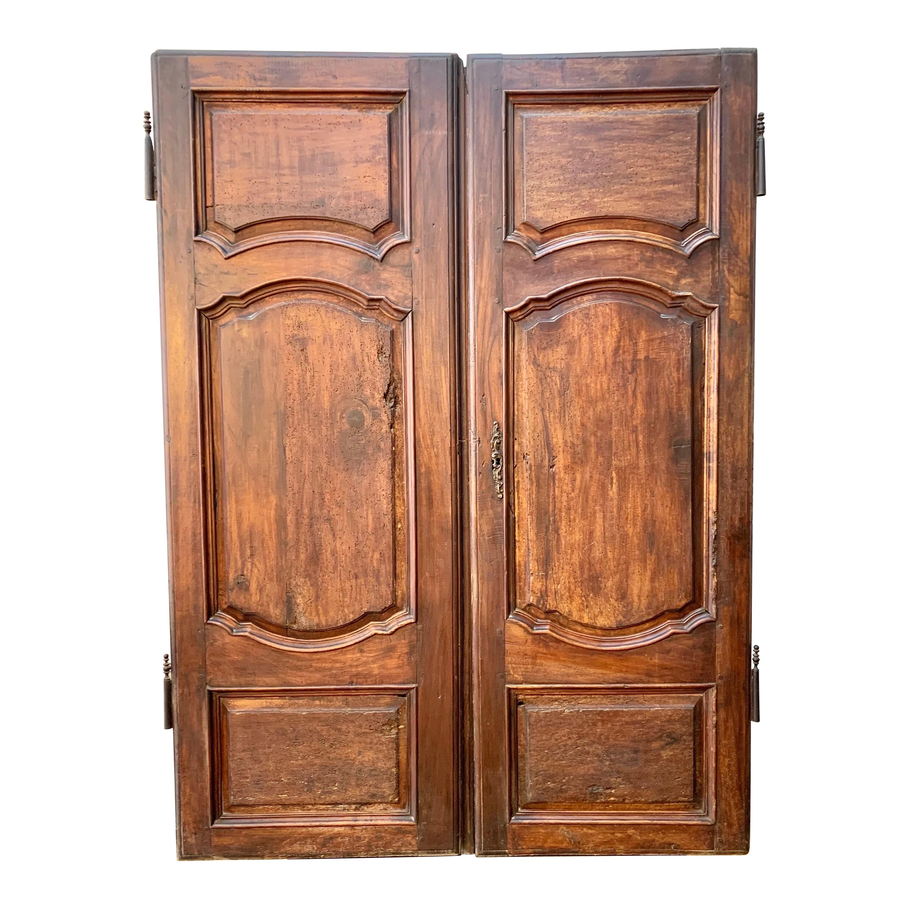 19th Century French Armoire Doors - a Pair For Sale
