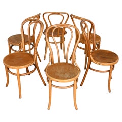 Bauhaus Oak Bentwood Chairs Attributed to Thonet #18 Café Chair Set of 6