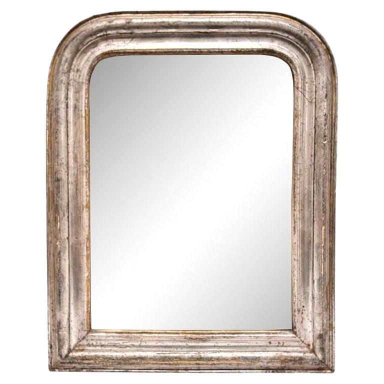 19th Century Louis Philippe Mirror For Sale