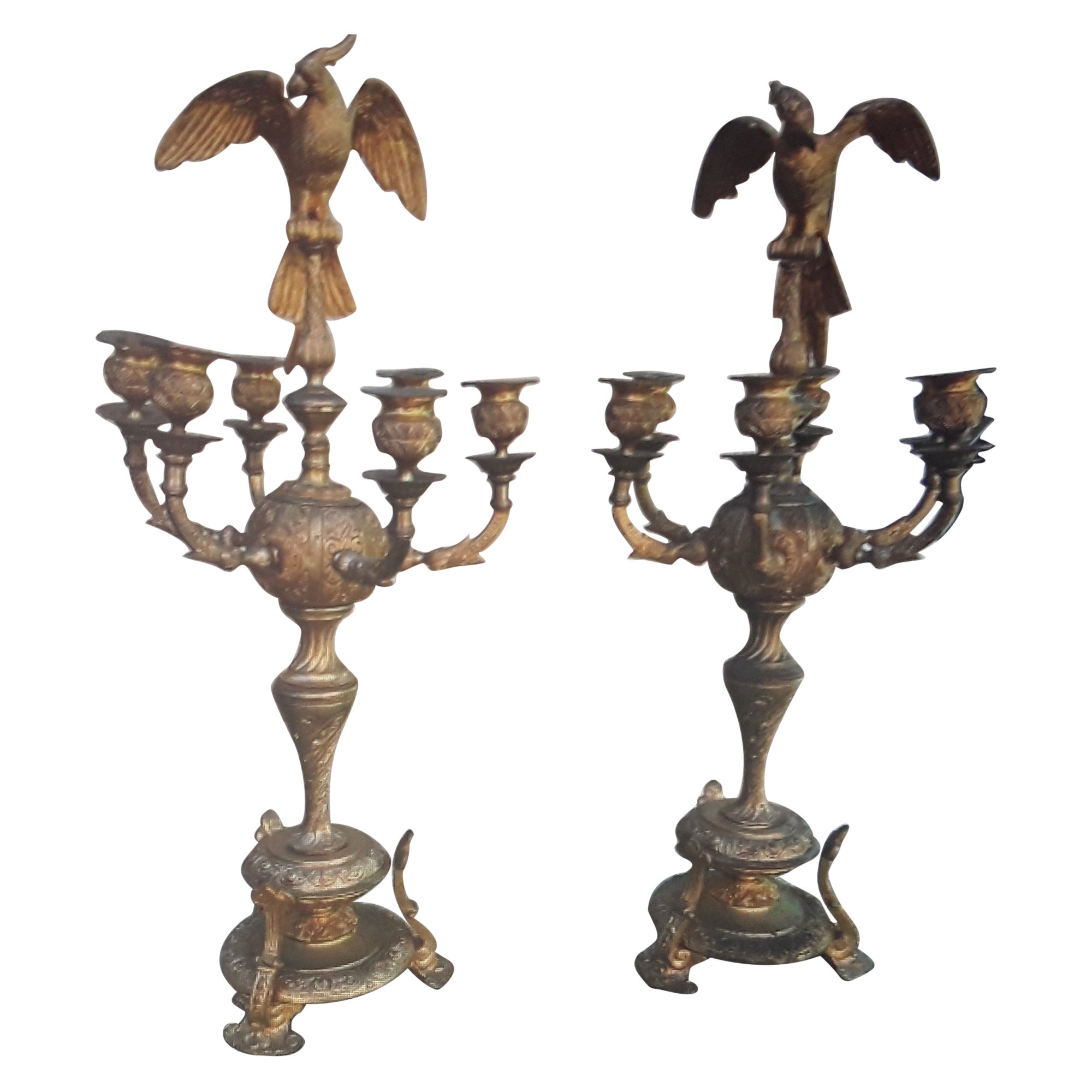 Pair 18/19thc XL French Gilt Bronze Opposing Face Parrot Candelabra C. Cressent? For Sale