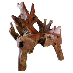 Organic Tree Root Wood Chair
