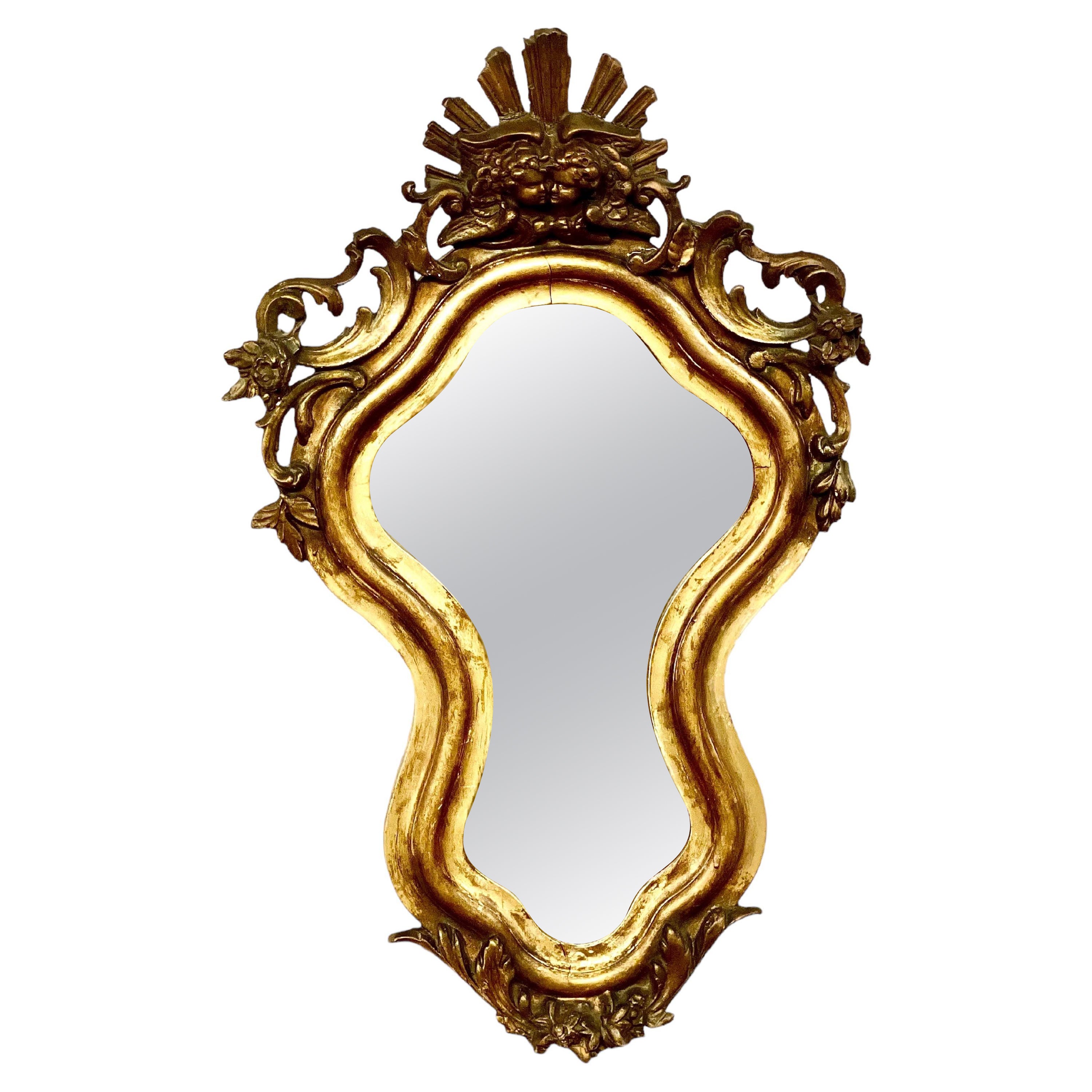 19th Century Rococo Giltwood Wall Mirror For Sale