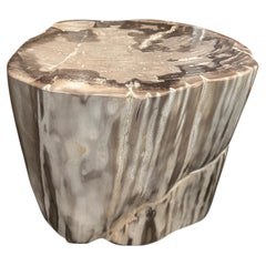 Andrianna Shamaris Impressive High Quality Petrified Wood Large Side Table