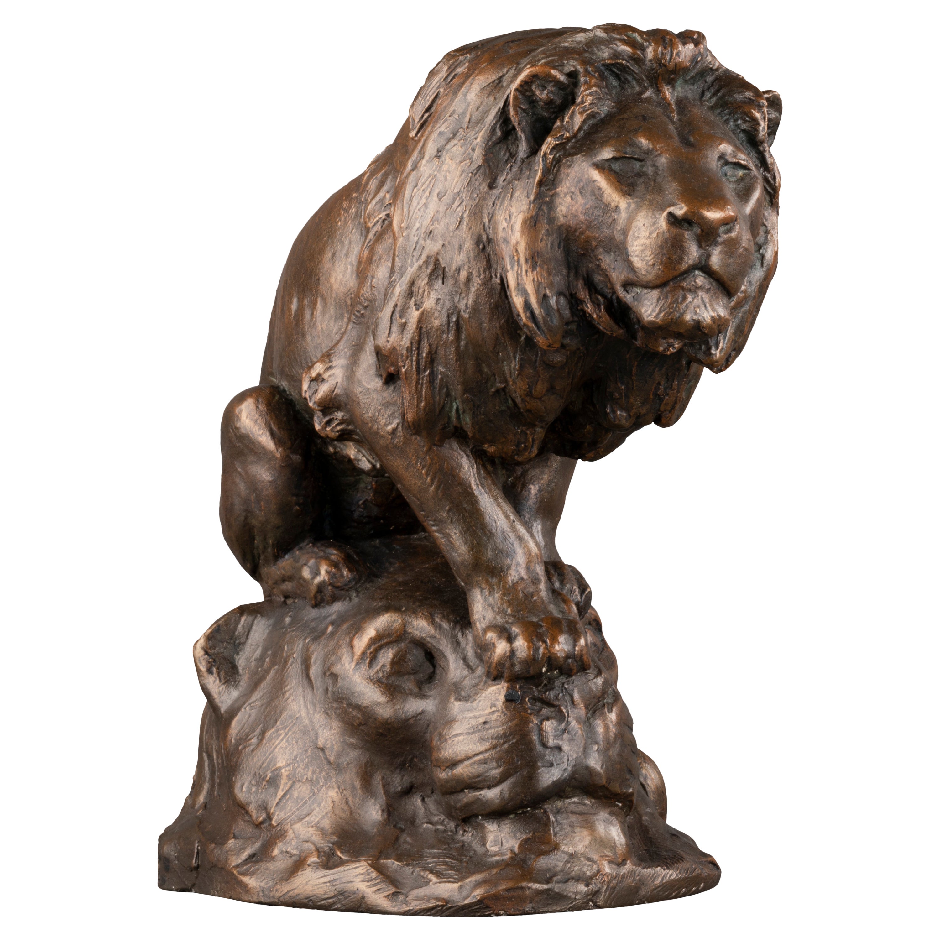 Georges Gardet : Lion, atelier original plâtre fin XIXe/début XXe siècle