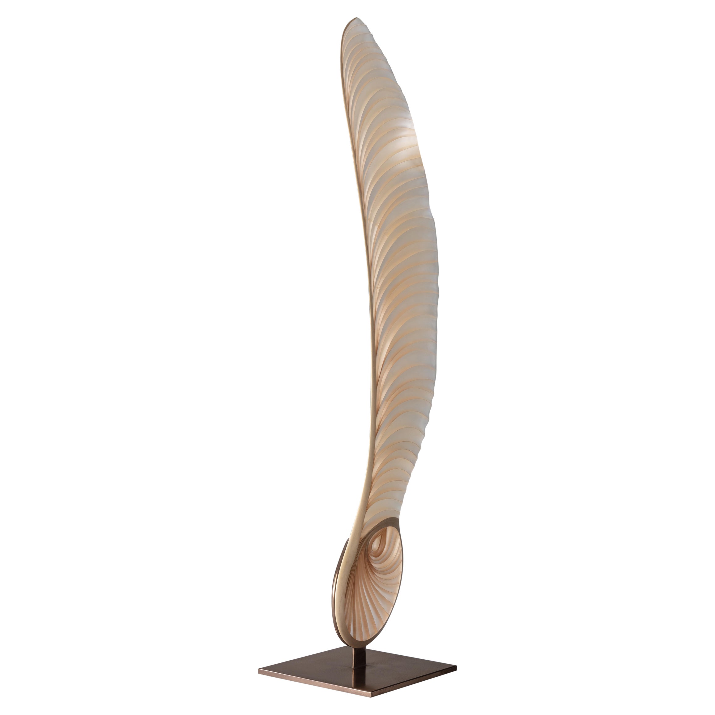 Marc Fish Ethereal Sculptural Sycamore Seed UK 2022, Marc Fisch