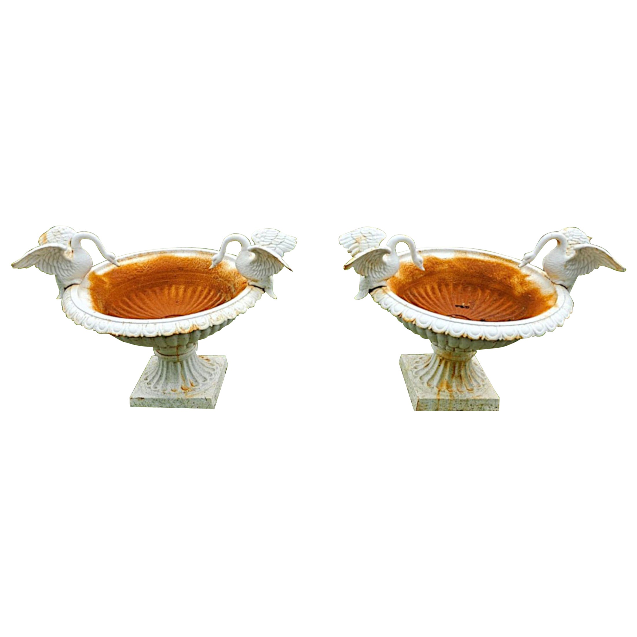 A Stunning 20th Century Pair of Large Cast Iron Urns with Swan Detail 