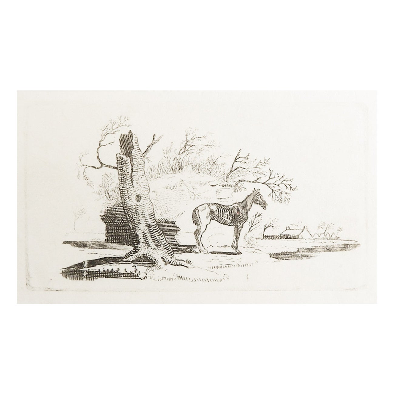 Petite gravure sur bois de Thomas Thomas, fin du 18e siècle, représentant un vieux cheval en vente