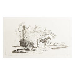 Petite gravure sur bois de Thomas Thomas, fin du 18e siècle, représentant un vieux cheval