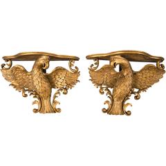 Pair of 19th Century Gilt-Gesso Eagle-Form Wall Brackets