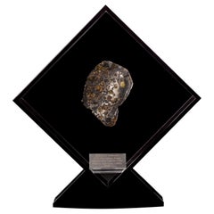 Original Design, Seymchan with Olivine Meteorite in a Black Acrylic Display