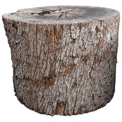 Trunk Table Base with Bark Exterior