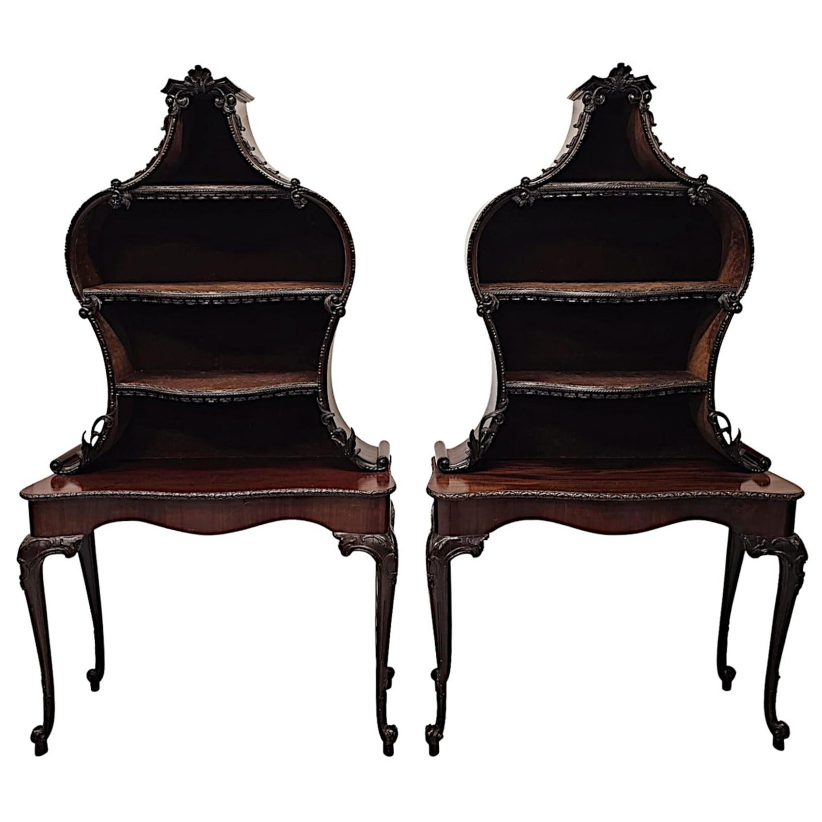 A Very Rare and Fine 19th Century  Pair of Mahogany Bookcases or Display Cases For Sale