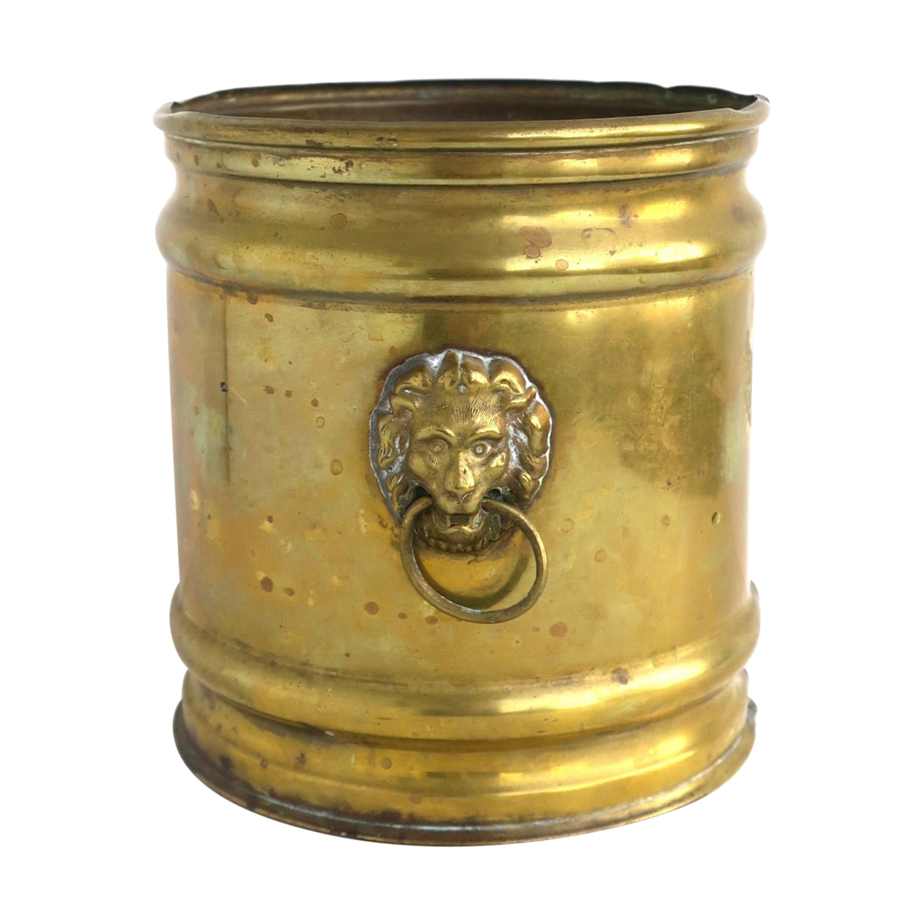 English Brass Planter Cachepot Jardinière with Lion Head Design For Sale