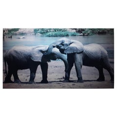 Grande photographie vintage encadrée et mate « The Elephants Meet » signée Bob Wallace