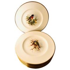 Set of 11 Royal Worcester Dinner Plates Each Painted with Different Birds