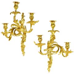 Pair of French Louis XV Style Gilt Bronze Three-Light Sconces
