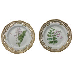 Pair, Flora Danica by Royal Copenhagen 9" Botanical Luncheon Plates