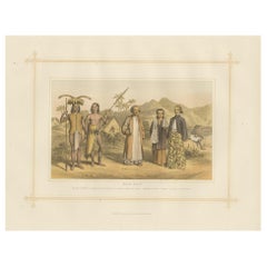 Antique Lithograph of the Malay Race, 1882