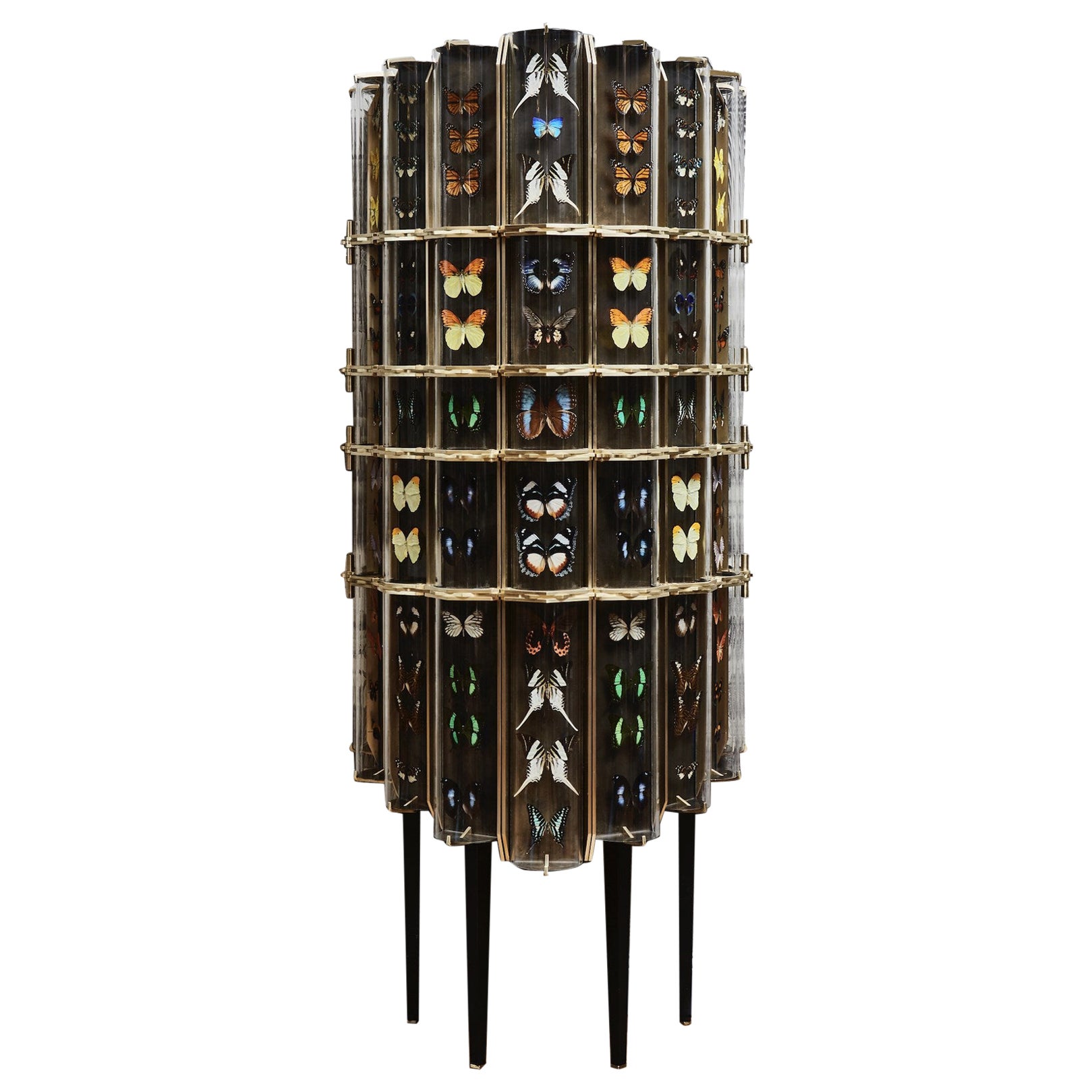 Gabinete "Curiosidad" de Erwan Boulloud
