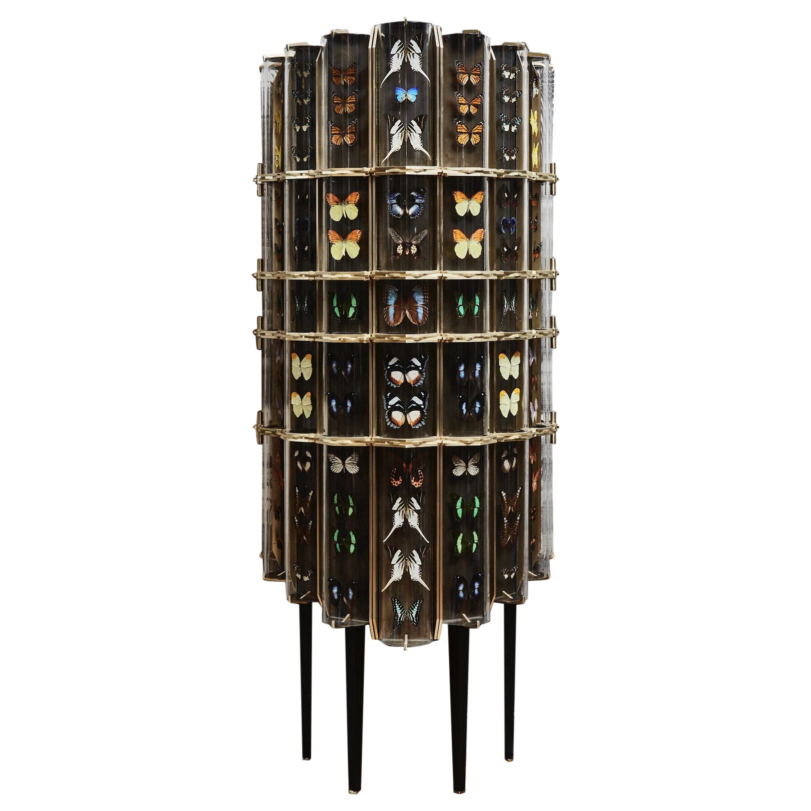 "Curiosity" cabinet by Erwan Boulloud For Sale