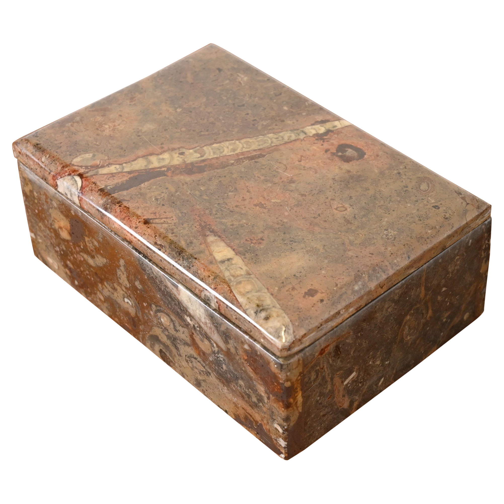 Vintage Fossilized Stone Dresser Box or Jewelry Box (boîte à vêtements ou à bijoux en pierre fossilisée)