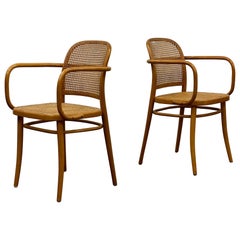 No.811 “Prague” Chairs by Josef Hoffman for Thonet