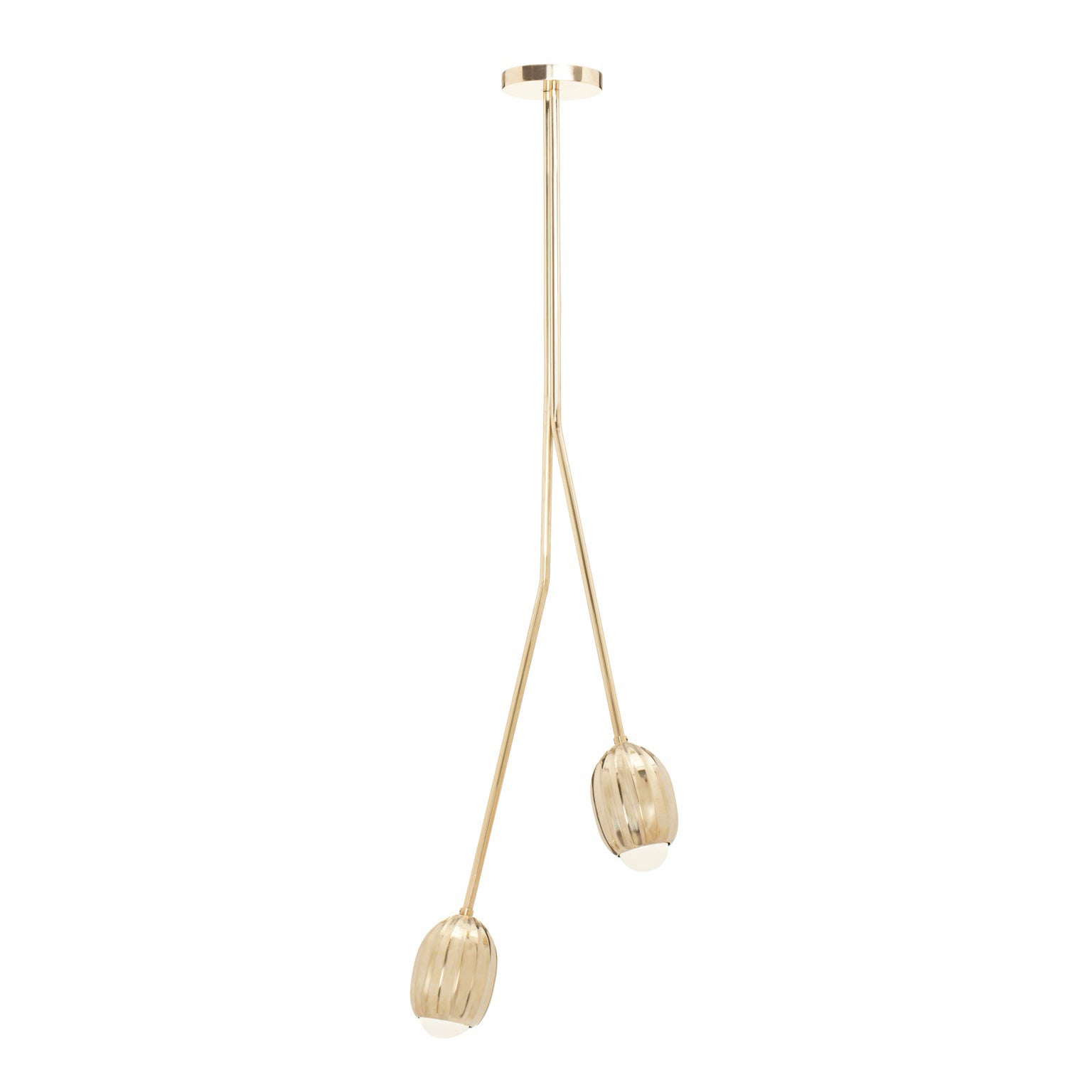 Poppy Polished Brass 2 Stem V Chandelier by Fred and Juul For Sale