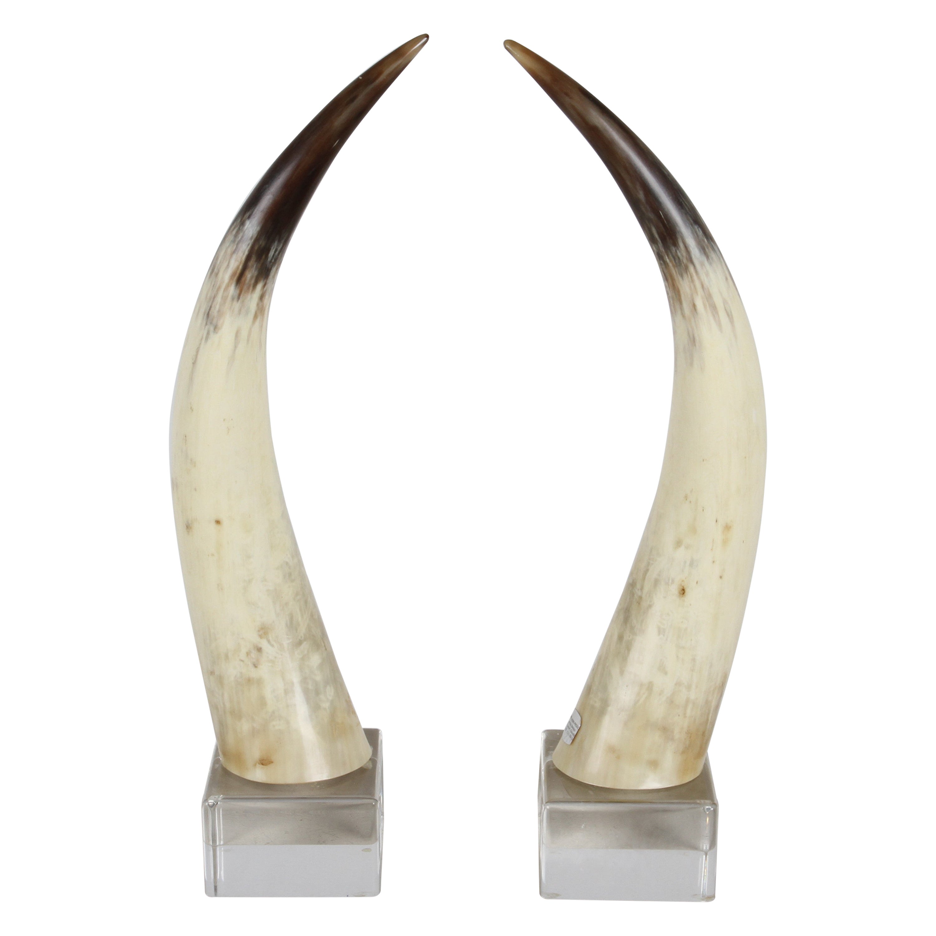 Pair of 1970s Longhorn Steer Horns Mounted on Lucite Bases by Jean Roy Designs  For Sale