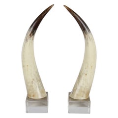 Pair of 1970s Longhorn Steer Horns Mounted on Lucite Bases by Jean Roy Designs 