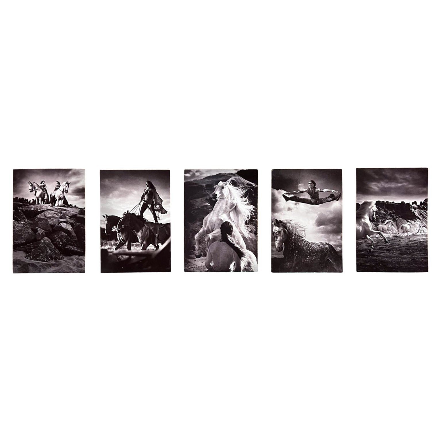 Vintage Cavalia Set of Five Post Card Prints Black and White Canada For Sale