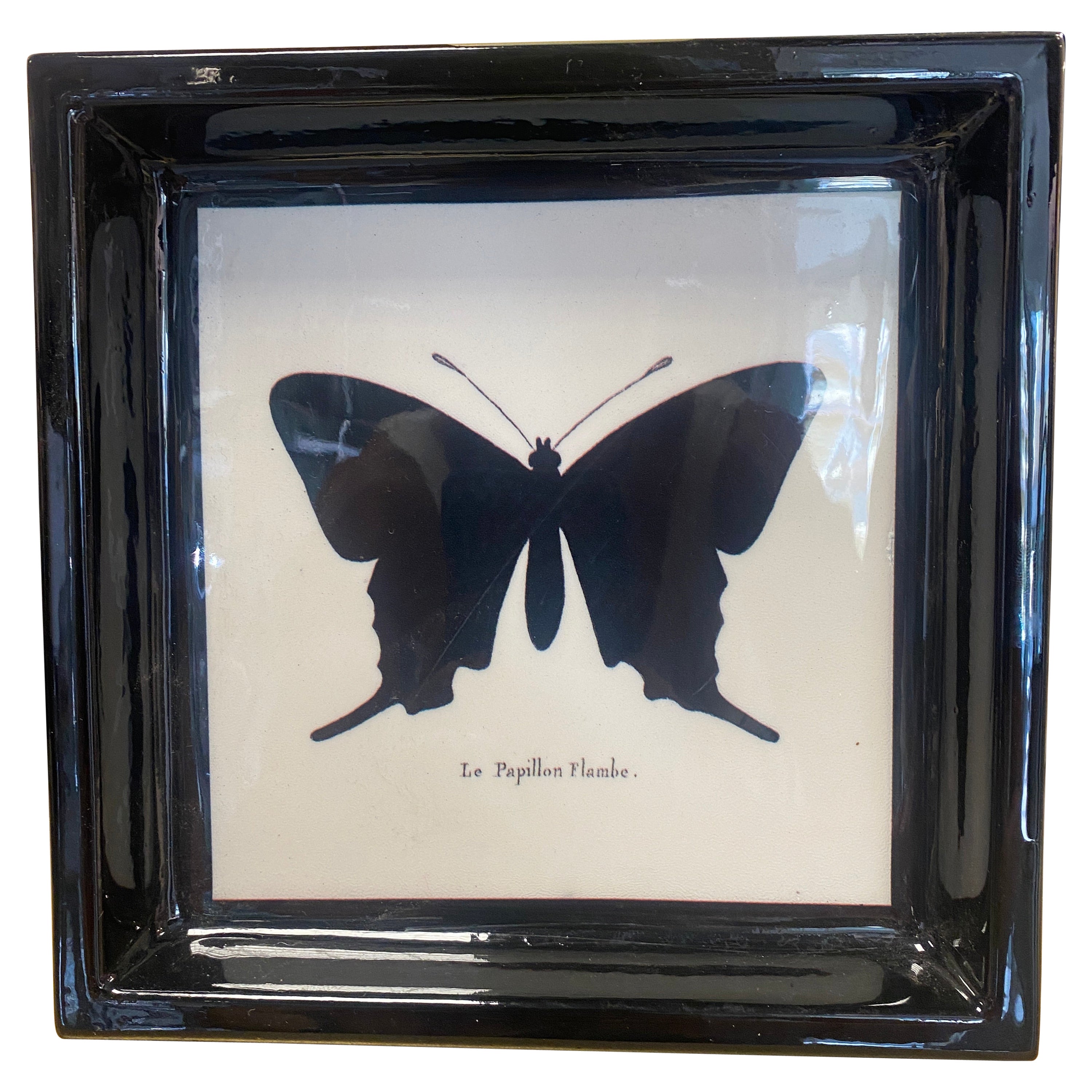 Italian Contemporary "Black and Wild" Collection Butterfly Resin Pocket Tray For Sale