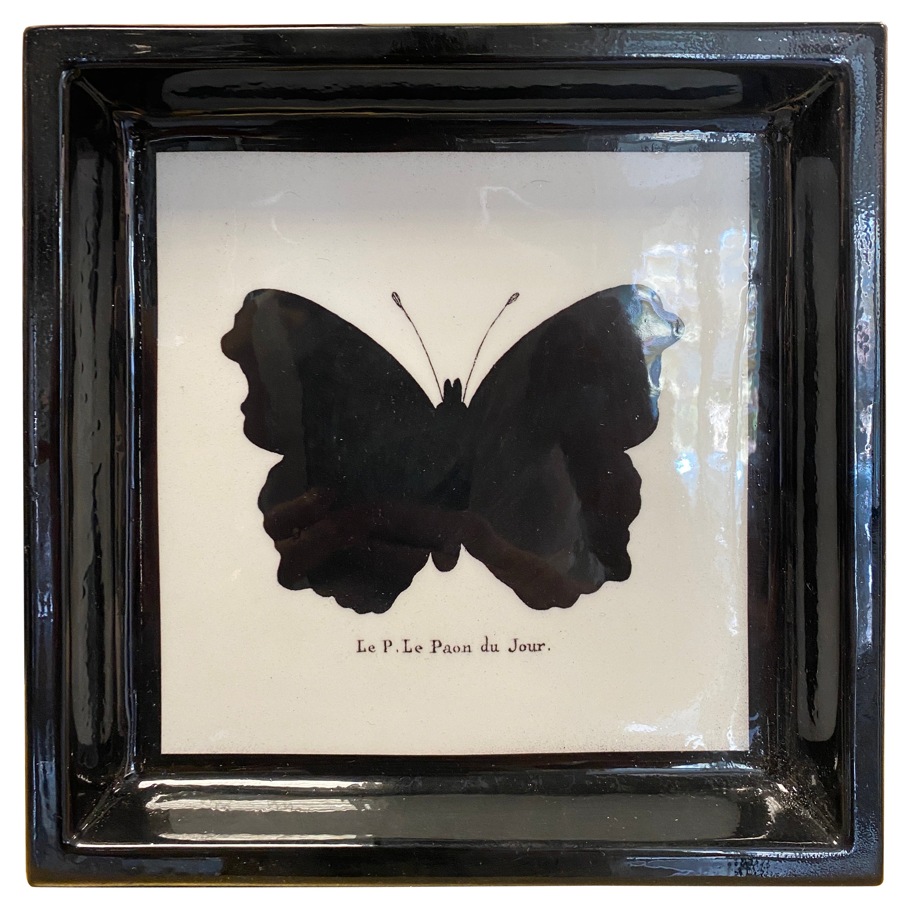 Plateau de poche en résine papillon de la collection "Black and Wild" de style contemporain italien
