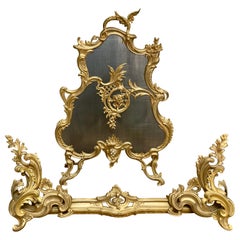Französisch 19. Jahrhundert Louis XV Bronze 2-Piece Feuer Bildschirm und Fender