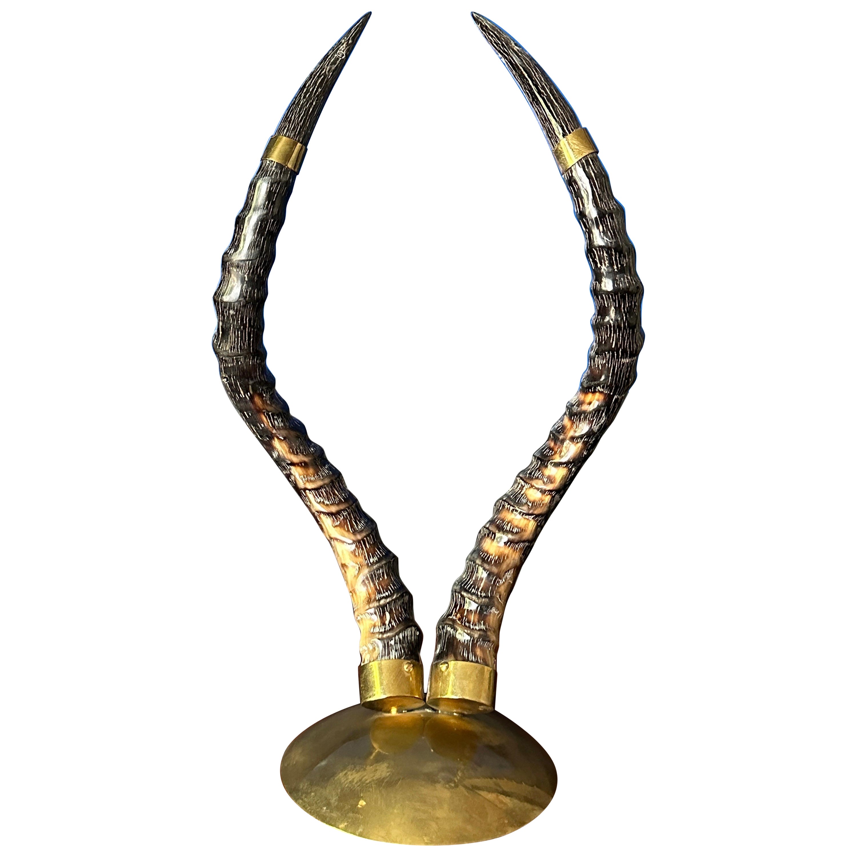 Polished Antelope Horns on Brass Base For Sale