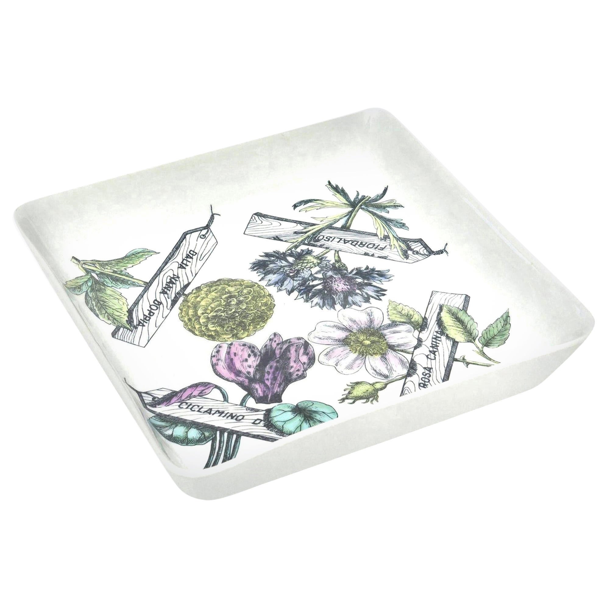 Piero Fornasetti Tazón de porcelana Botánico Vintage "Botanica Pratica