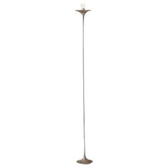 Vintage Midcentury floor lamp, Italy 1960