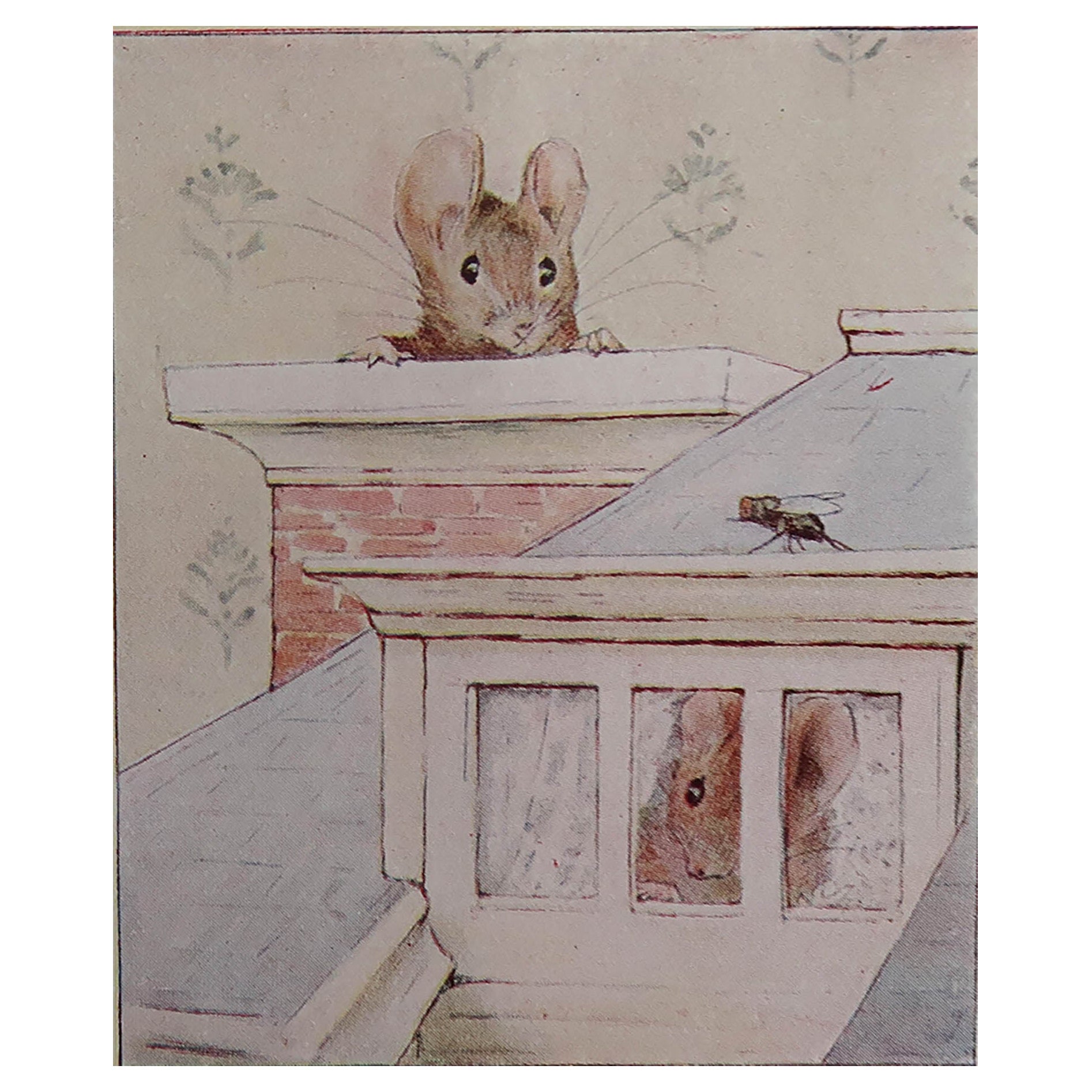 Original Vintage Beatrix Potter Print. Peter Rabbit And Friends C.1905 For Sale