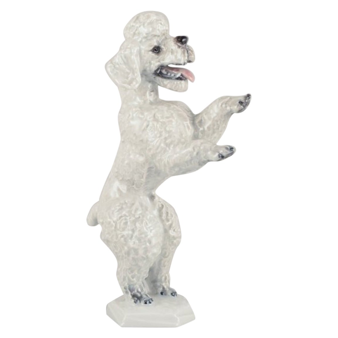 Fritz Heidenreich for Rosenthal. Large standing porcelain poodle. Approx. 1930s For Sale
