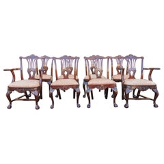 Un bel ensemble de 8 chaises de salle à manger en acajou irlandais du 19ème siècle par Butler of Dublin.