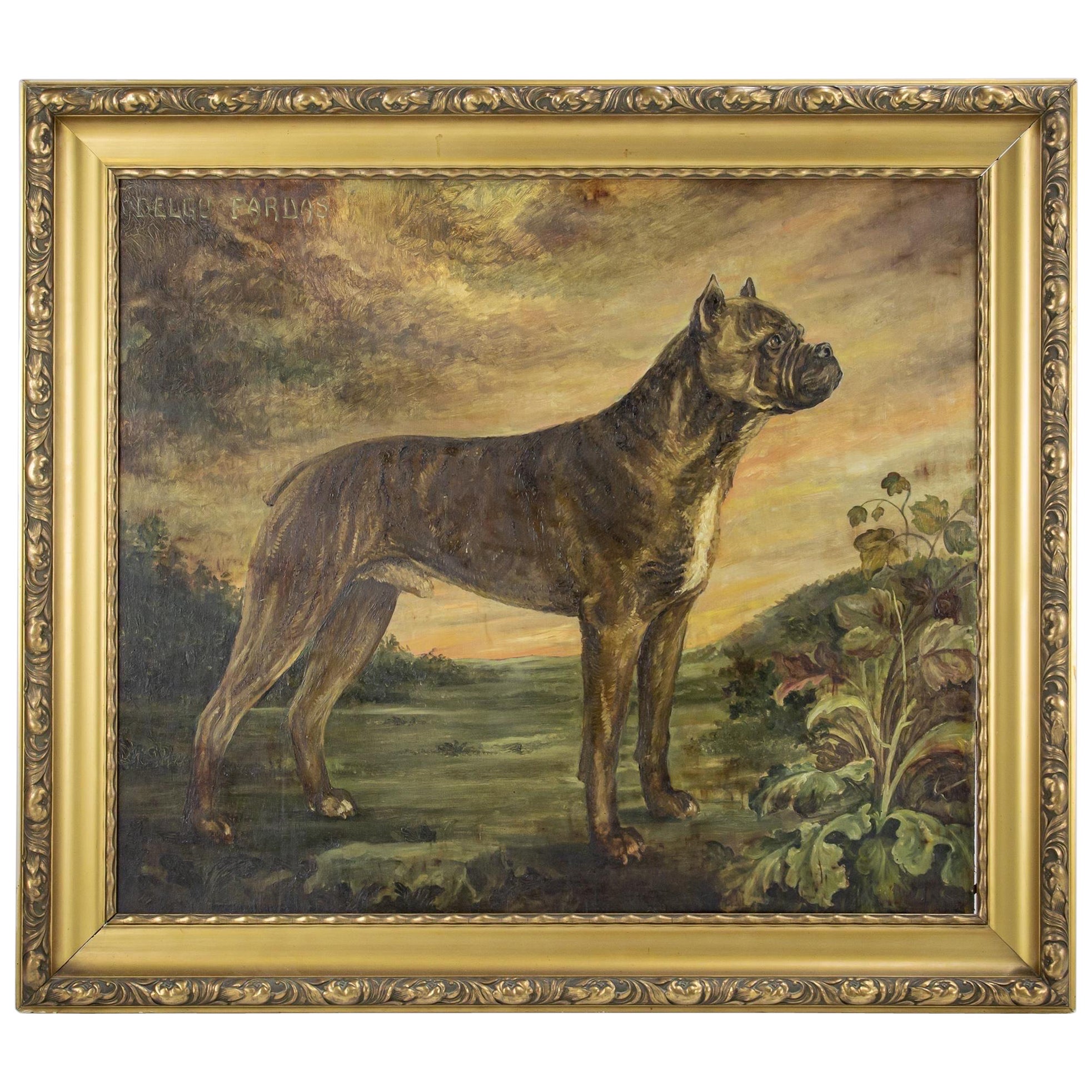 Huge Early 20th Century Dog Portrait of a Boxer For Sale