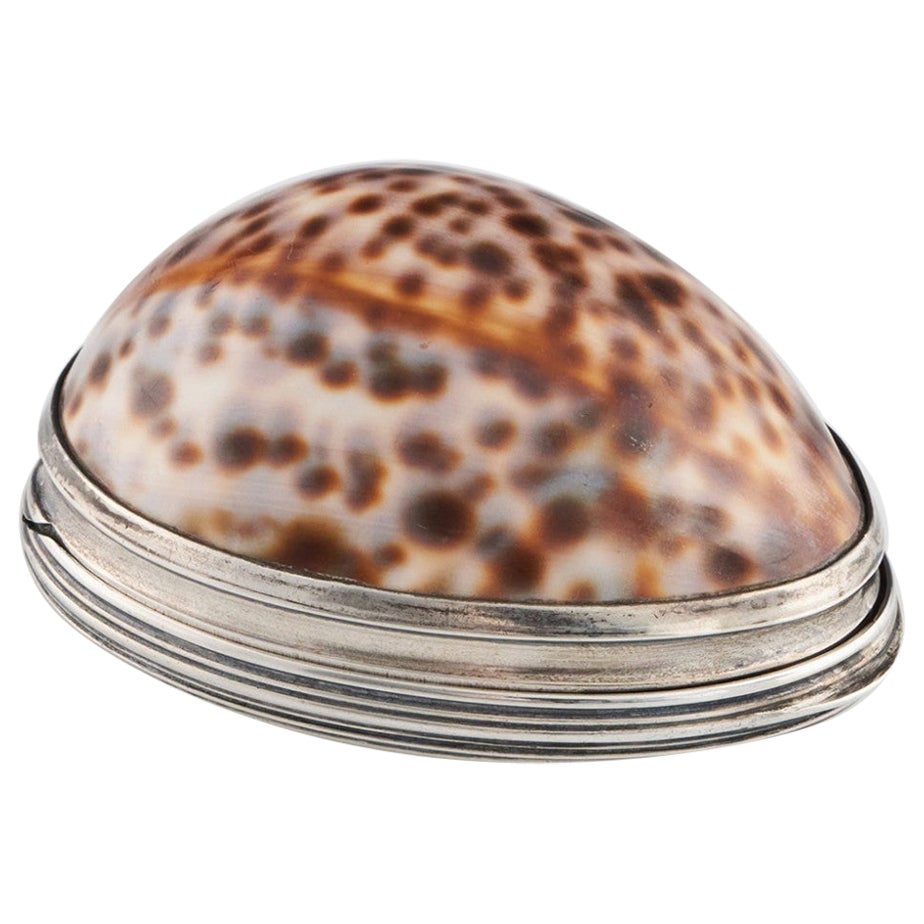 Silver Cowrie Shell Snuff Box Edinburgh c1823 For Sale