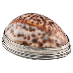 Silver Cowrie Shell Snuff Box Edinburgh c1823