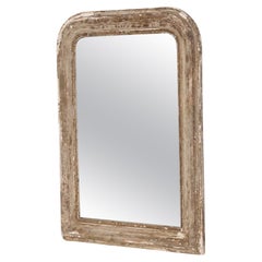 19th Century Louis Phillipe French Patinated Mirror