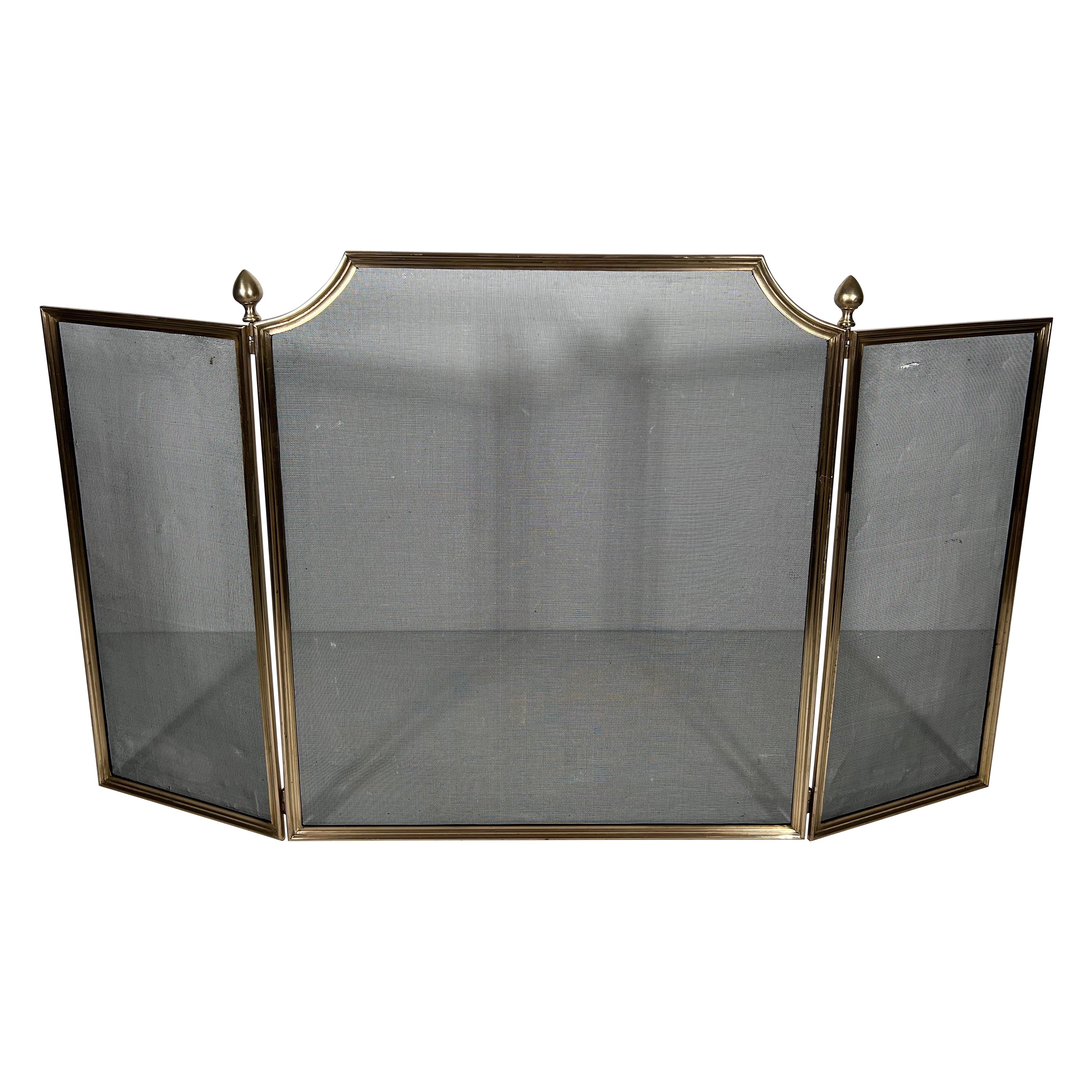 Brushed Steel, Brass and Grilling Fireplace Screen in the style of Maison Jansen For Sale