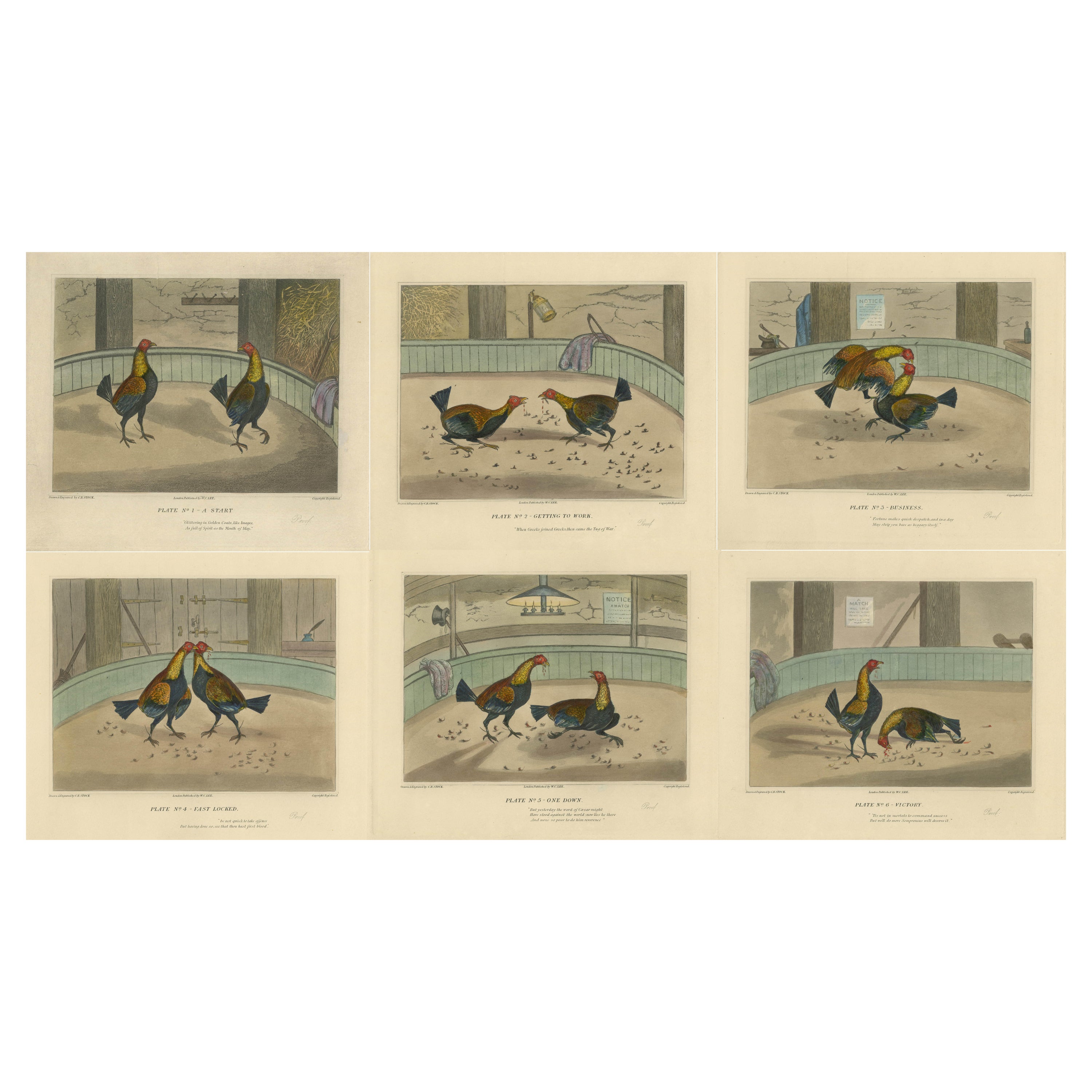 Complete Series: Six Old Cockfight Etchings, London 1830