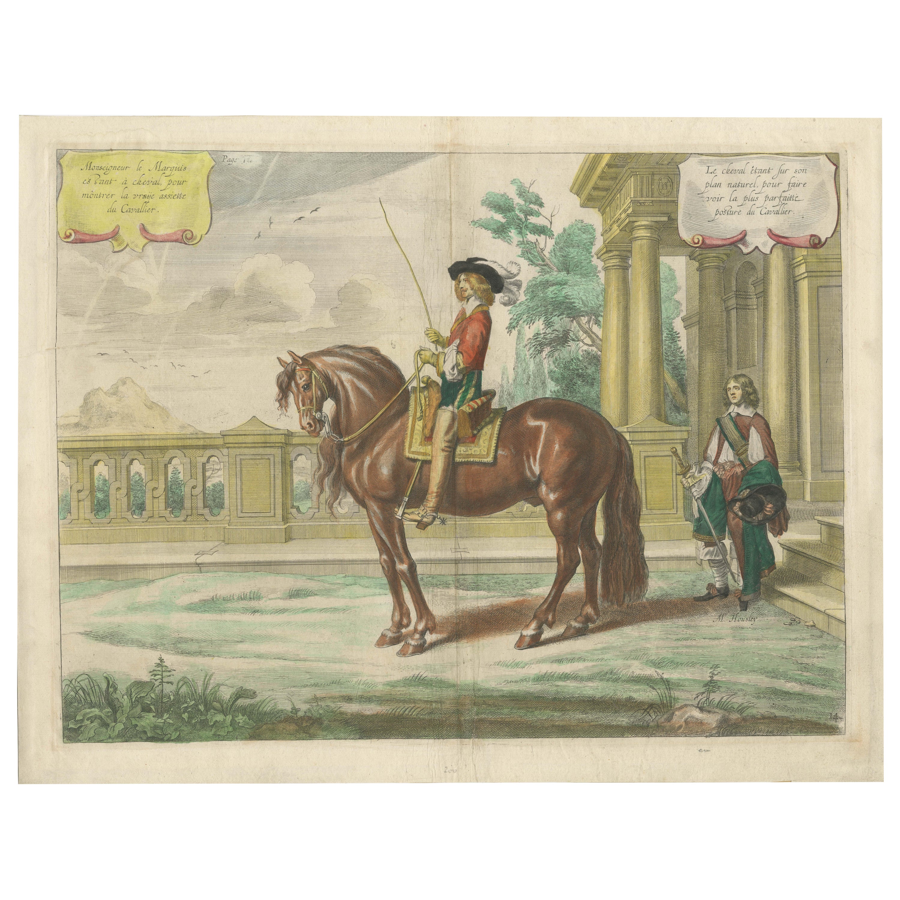 Equestrian Dressage Horse Print Original Handcolored Antique Engraving , 1743  For Sale