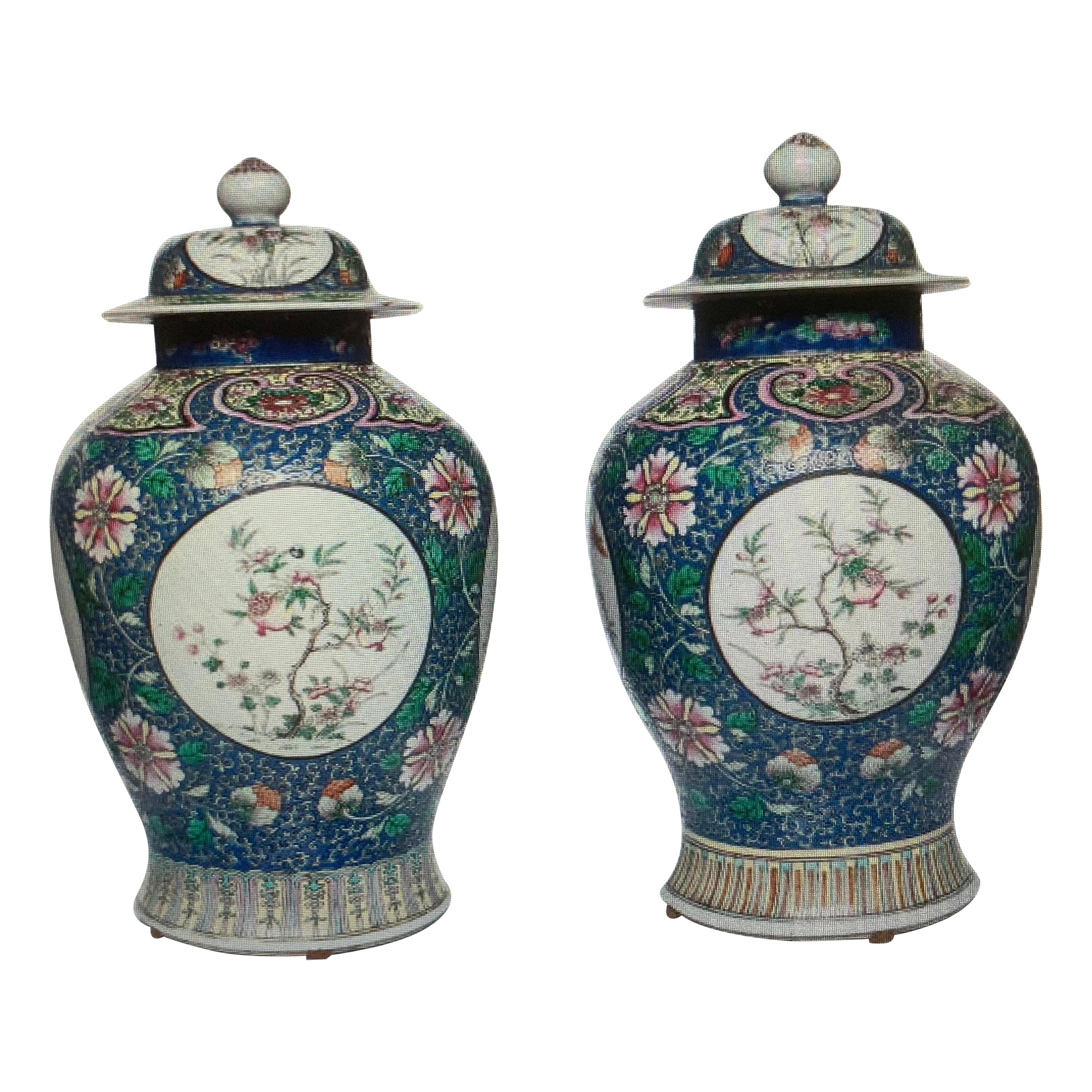 Chinesisches Paar Vasenporzellan-Paar
