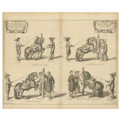 Antique Equestrian Engravings of Cavendish's General System of Horsemanship, 1743